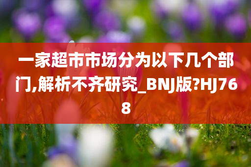 一家超市市场分为以下几个部门,解析不齐研究_BNJ版?HJ768