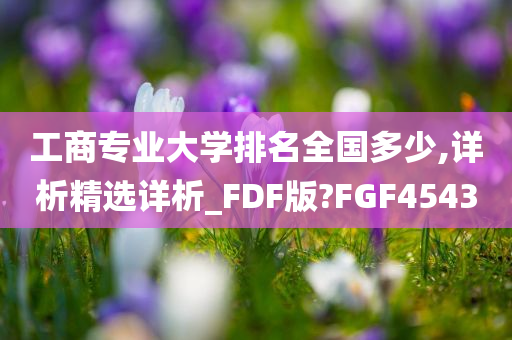 工商专业大学排名全国多少,详析精选详析_FDF版?FGF4543