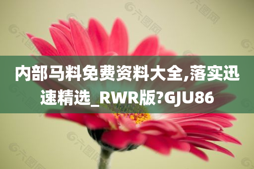 内部马料免费资料大全,落实迅速精选_RWR版?GJU86