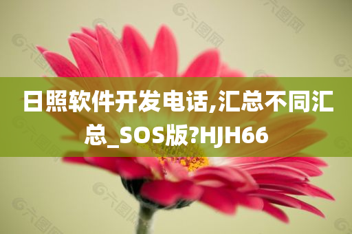 日照软件开发电话,汇总不同汇总_SOS版?HJH66