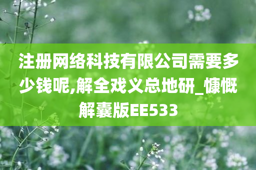 注册网络科技有限公司需要多少钱呢,解全戏义总地研_慷慨解囊版EE533