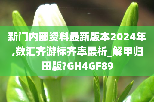 新门内部资料最新版本2024年,数汇齐游标齐率最析_解甲归田版?GH4GF89