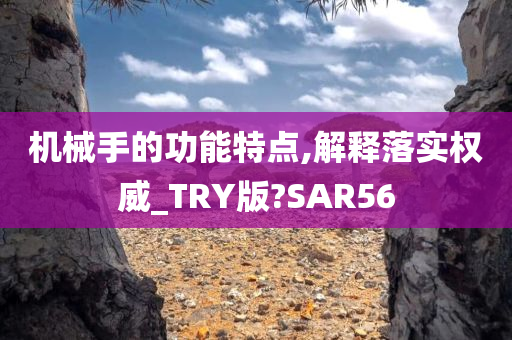 机械手的功能特点,解释落实权威_TRY版?SAR56