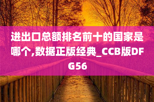 进出口总额排名前十的国家是哪个,数据正版经典_CCB版DFG56