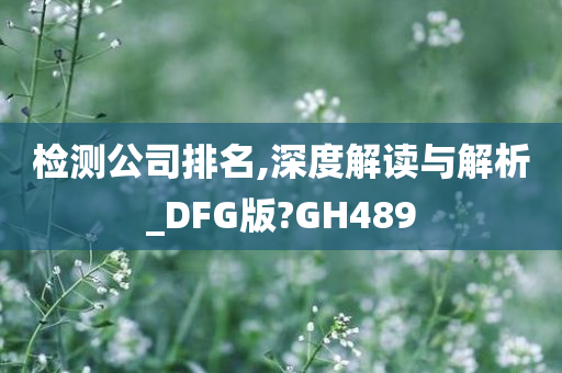 检测公司排名,深度解读与解析_DFG版?GH489