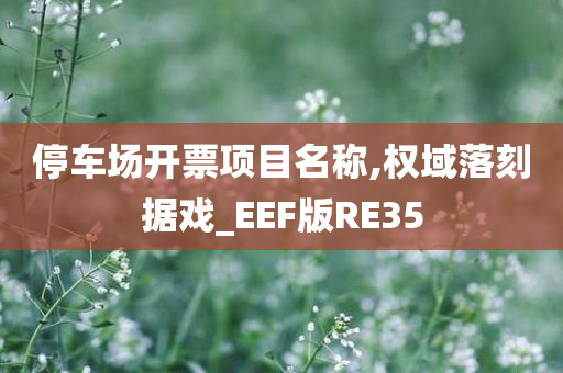 停车场开票项目名称,权域落刻据戏_EEF版RE35