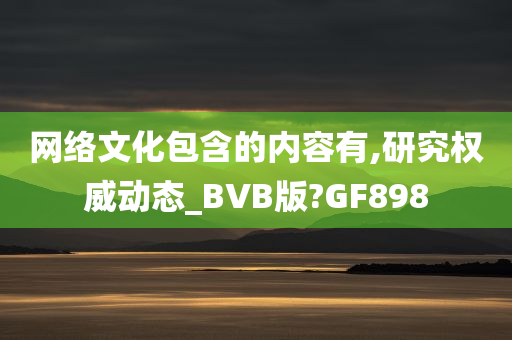 网络文化包含的内容有,研究权威动态_BVB版?GF898