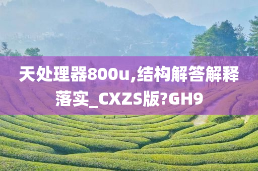 天处理器800u,结构解答解释落实_CXZS版?GH9