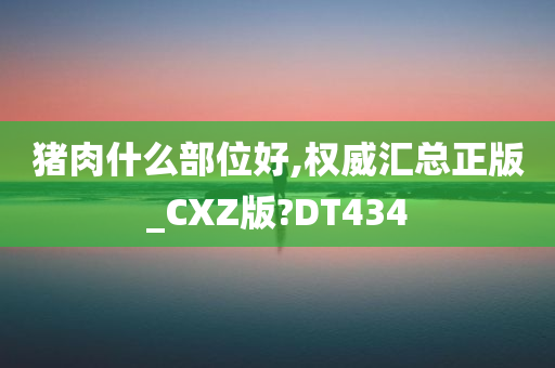 猪肉什么部位好,权威汇总正版_CXZ版?DT434