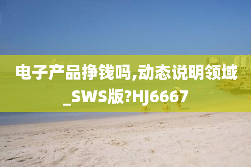 电子产品挣钱吗,动态说明领域_SWS版?HJ6667