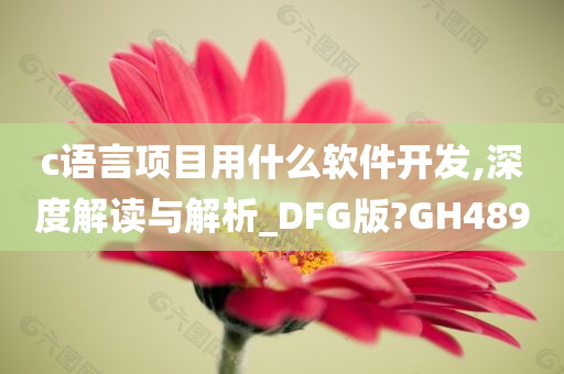 c语言项目用什么软件开发,深度解读与解析_DFG版?GH489