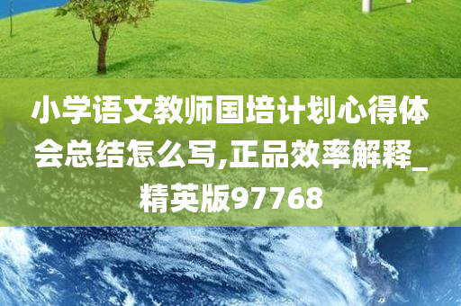 小学语文教师国培计划心得体会总结怎么写,正品效率解释_精英版97768