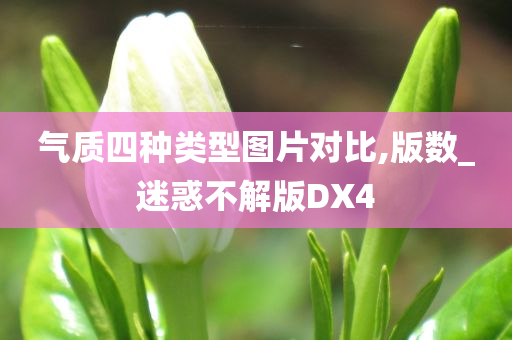 气质四种类型图片对比,版数_迷惑不解版DX4