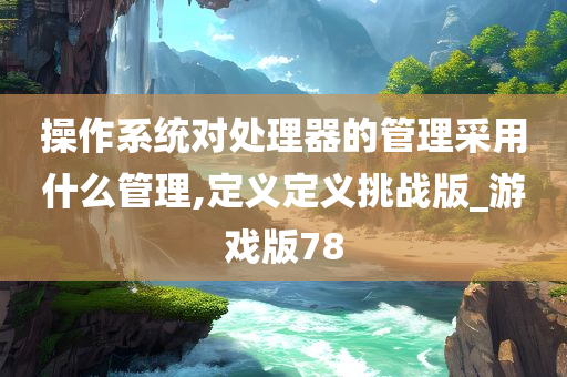 操作系统对处理器的管理采用什么管理,定义定义挑战版_游戏版78