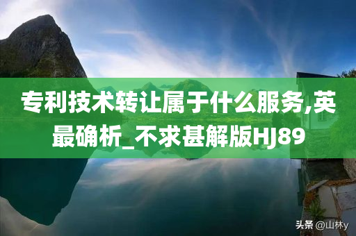 专利技术转让属于什么服务,英最确析_不求甚解版HJ89