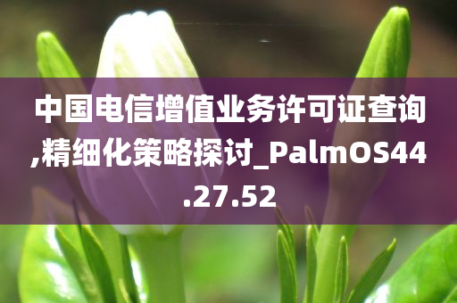 中国电信增值业务许可证查询,精细化策略探讨_PalmOS44.27.52