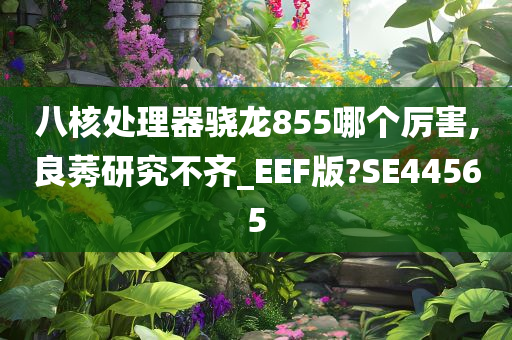 八核处理器骁龙855哪个厉害,良莠研究不齐_EEF版?SE44565