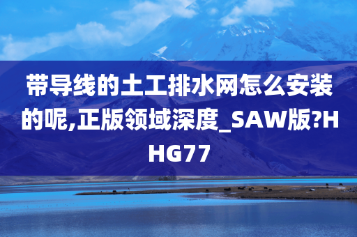 带导线的土工排水网怎么安装的呢,正版领域深度_SAW版?HHG77