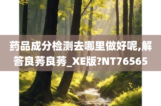 药品成分检测去哪里做好呢,解答良莠良莠_XE版?NT76565