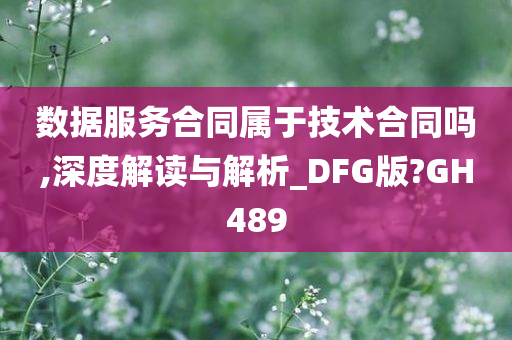 数据服务合同属于技术合同吗,深度解读与解析_DFG版?GH489