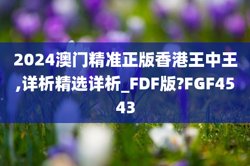 2024澳门精准正版香港王中王,详析精选详析_FDF版?FGF4543