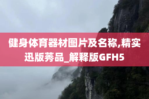 健身体育器材图片及名称,精实迅版莠品_解释版GFH5