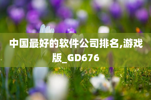 中国最好的软件公司排名,游戏版_GD676