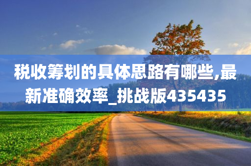 税收筹划的具体思路有哪些,最新准确效率_挑战版435435