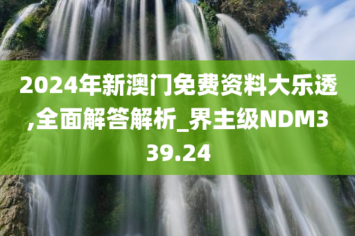 2024年新澳门免费资料大乐透,全面解答解析_界主级NDM339.24