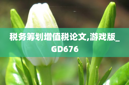 税务筹划增值税论文,游戏版_GD676