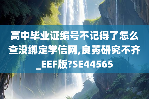 高中毕业证编号不记得了怎么查没绑定学信网,良莠研究不齐_EEF版?SE44565