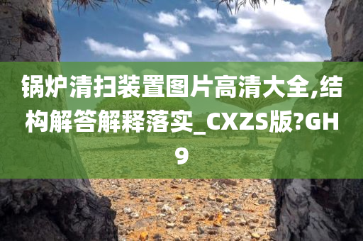 锅炉清扫装置图片高清大全,结构解答解释落实_CXZS版?GH9