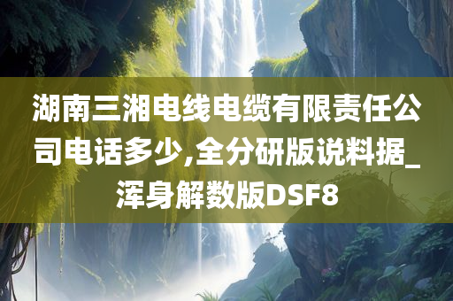 湖南三湘电线电缆有限责任公司电话多少,全分研版说料据_浑身解数版DSF8