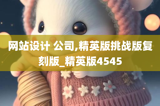 网站设计 公司,精英版挑战版复刻版_精英版4545