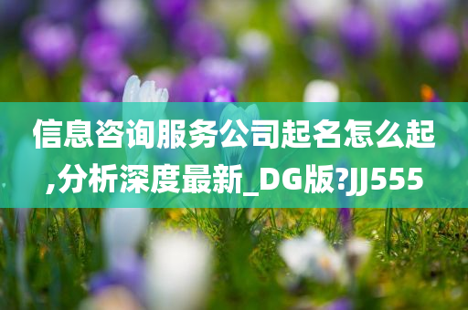 信息咨询服务公司起名怎么起,分析深度最新_DG版?JJ555