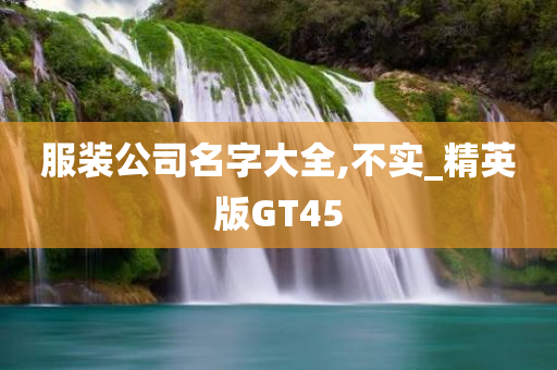 服装公司名字大全,不实_精英版GT45