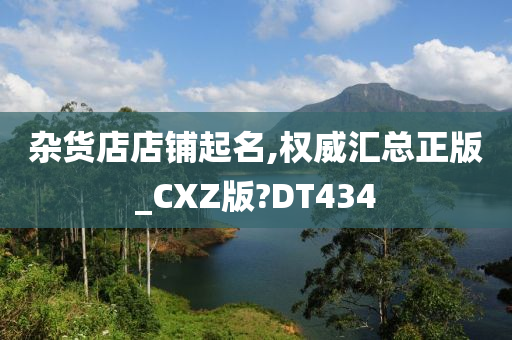 杂货店店铺起名,权威汇总正版_CXZ版?DT434