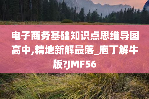 电子商务基础知识点思维导图高中,精地新解最落_庖丁解牛版?JMF56