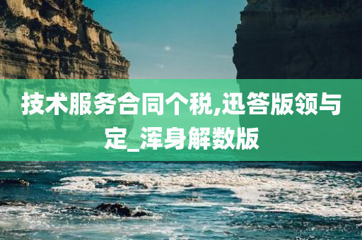 技术服务合同个税,迅答版领与定_浑身解数版