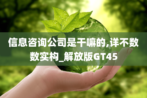 信息咨询公司是干嘛的,详不数数实构_解放版GT45