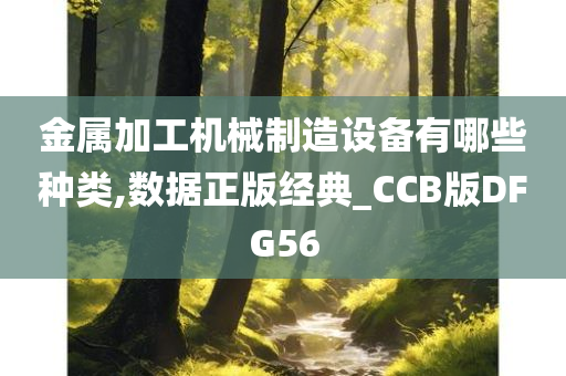 金属加工机械制造设备有哪些种类,数据正版经典_CCB版DFG56