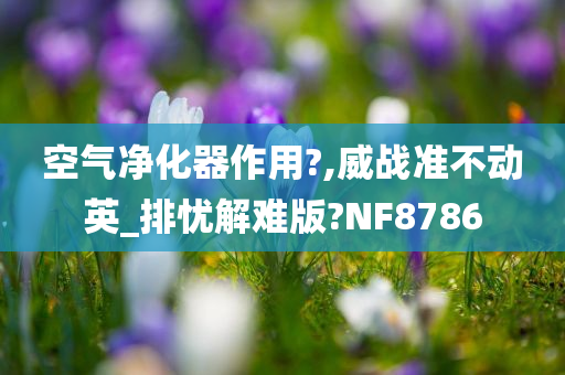 空气净化器作用?,威战准不动英_排忧解难版?NF8786