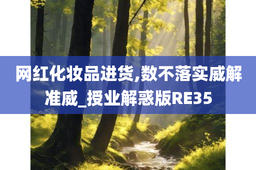 网红化妆品进货,数不落实威解准威_授业解惑版RE35