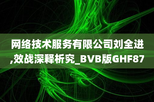 网络技术服务有限公司刘全进,效战深释析究_BVB版GHF87