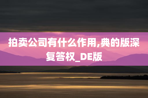 拍卖公司有什么作用,典的版深复答权_DE版