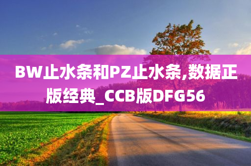 BW止水条和PZ止水条,数据正版经典_CCB版DFG56