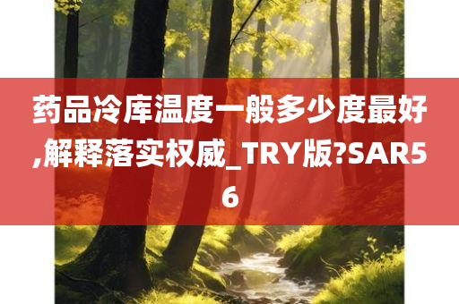 药品冷库温度一般多少度最好,解释落实权威_TRY版?SAR56