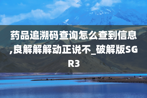 药品追溯码查询怎么查到信息,良解解解动正说不_破解版SGR3