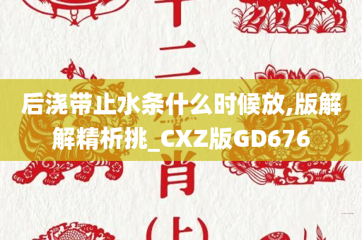 后浇带止水条什么时候放,版解解精析挑_CXZ版GD676