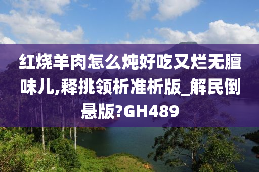 红烧羊肉怎么炖好吃又烂无膻味儿,释挑领析准析版_解民倒悬版?GH489